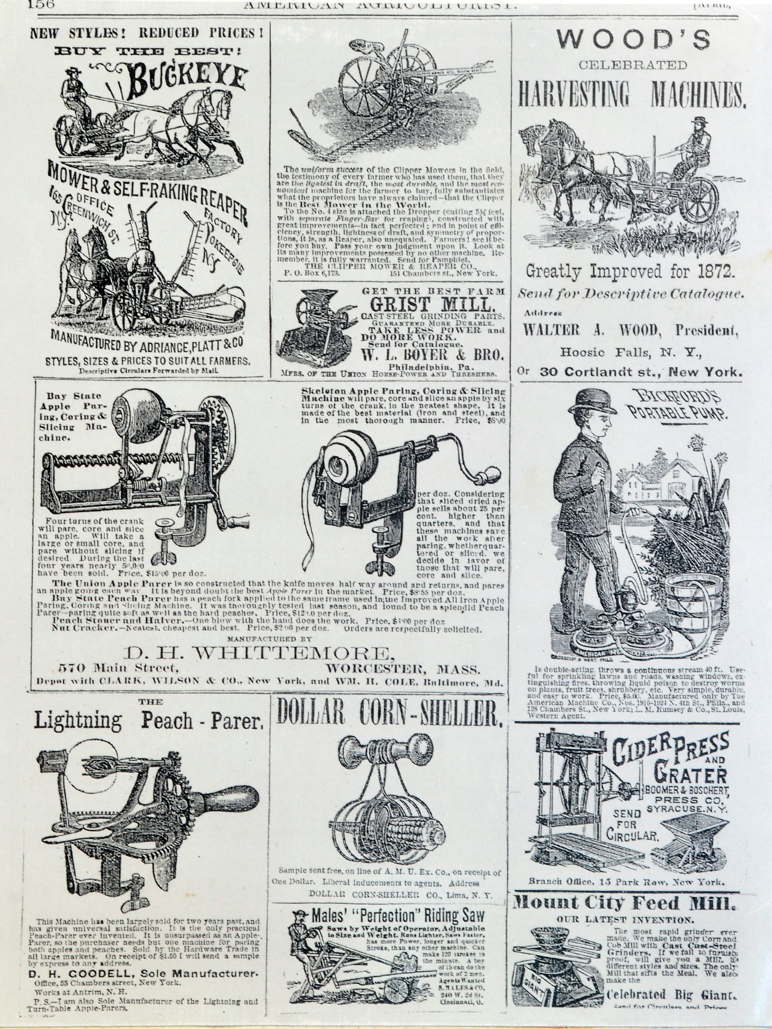 Apple Peeler Catalog Cut